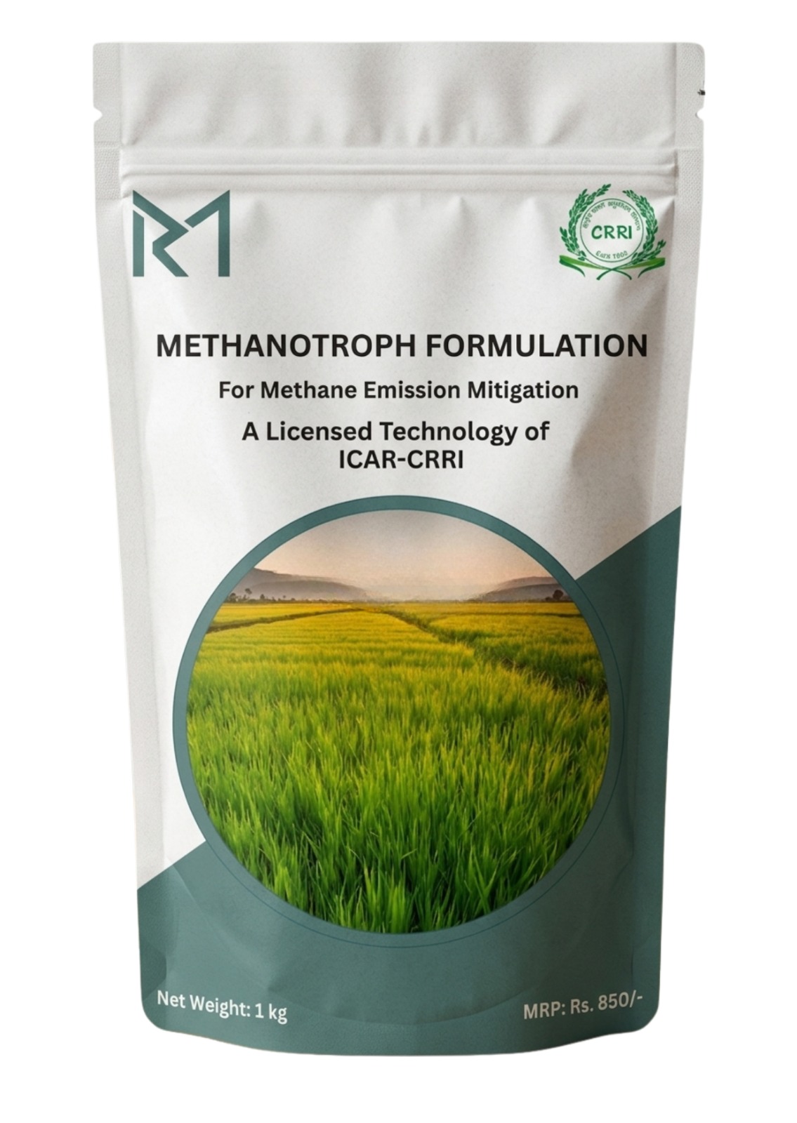 Methanotrophs